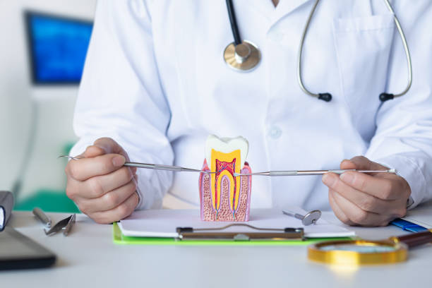 Best Emergency Root Canal Treatment in Mullens, WV